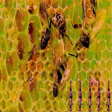 ⬡⬡⬡⬡⬡⬡⬡