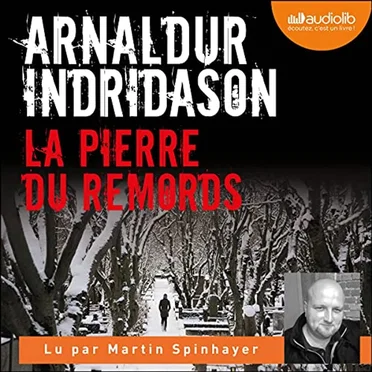 La Pierre du remords by Arnaldur Indriðason - album cover