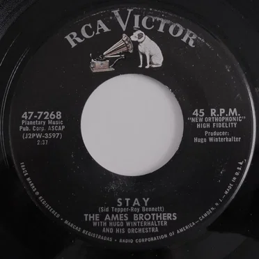 Stay / Little Serenade