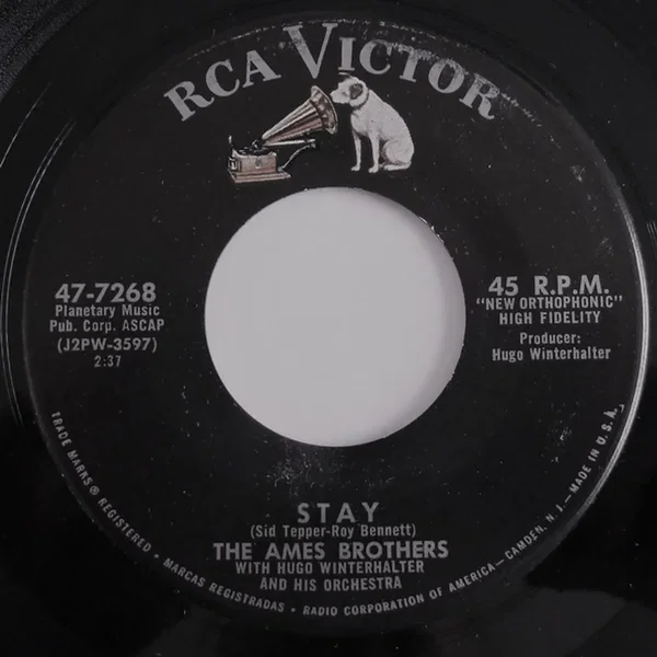 Stay / Little Serenade