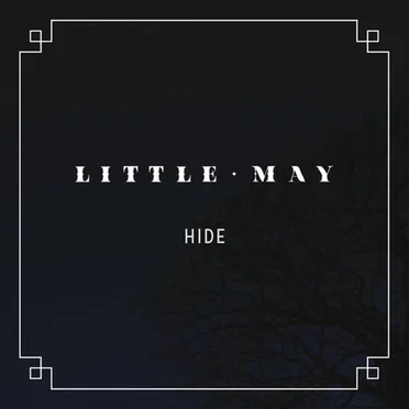 Hide