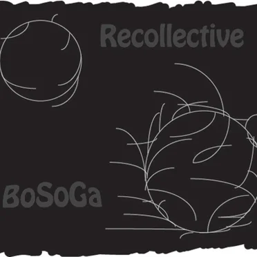 Recollective by BoSoGa - album cover