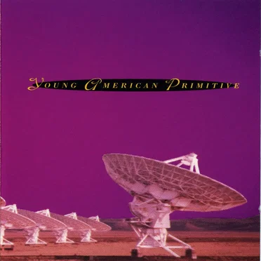 Young American Primitive by Young American Primitive - album cover