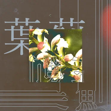 葉薊