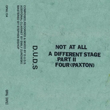 Not At All / A Different Stage Pt. II by DUDS - album cover