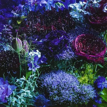 あなたに出会わなければ～夏雪冬花～ / 星屑ビーナス