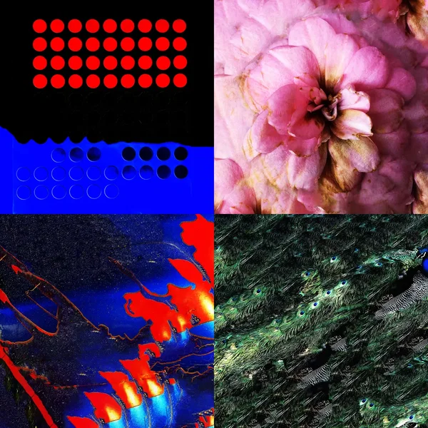 Quadriptych 7