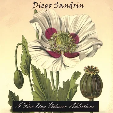 A Fine Day Between Addictions by Diego Sandrin - album cover