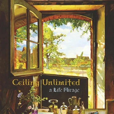 A Life Mirage