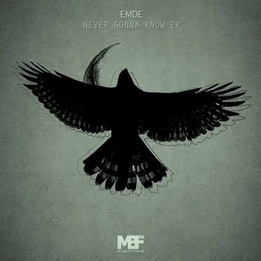Never Gonna Know EP by Emde - album cover
