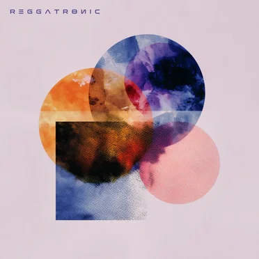 Nothing Left by Reggatronic - album cover