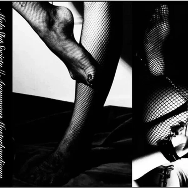 Fishnet Series Vol. 1