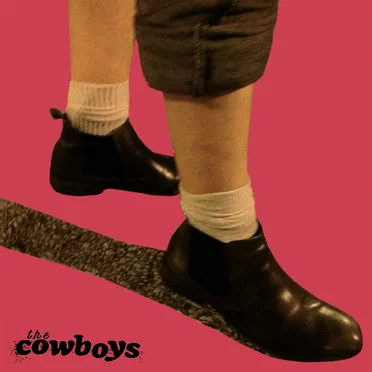 Volume 4 by The Cowboys - album cover