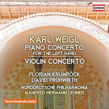 Piano Concerto for the Left Hand / Violin Concerto