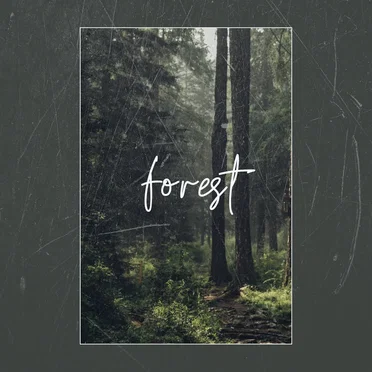 forest.