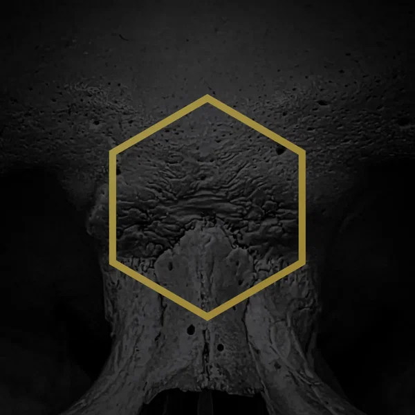 Primal (State of Being)