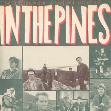 In the Pines by The Triffids - album cover