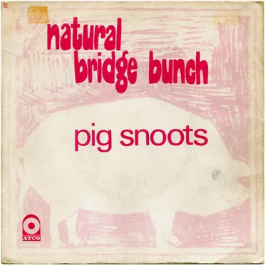 Pig Snoots