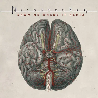 Show Me Where It Hertz