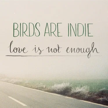 Love Is Not Enough by Birds Are Indie - album cover