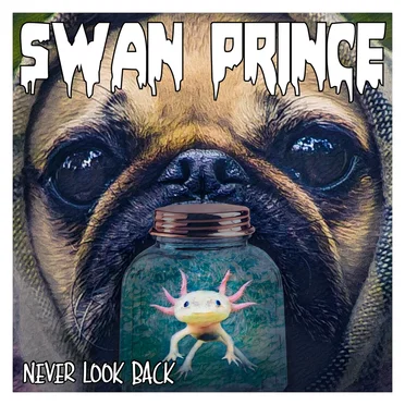 Never Look Back by Swan Prince - album cover