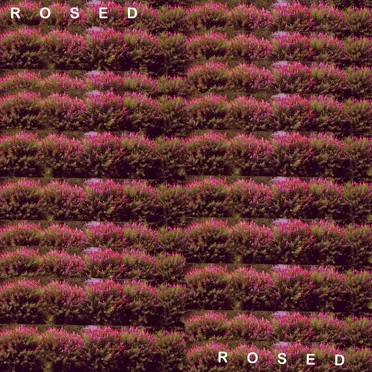 Rosed by Animal Genie - album cover
