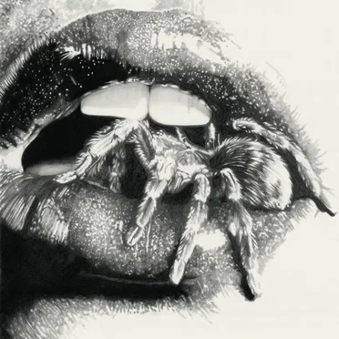 Let The Spiders In