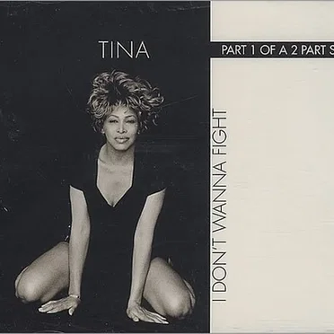 I Don’t Wanna Fight