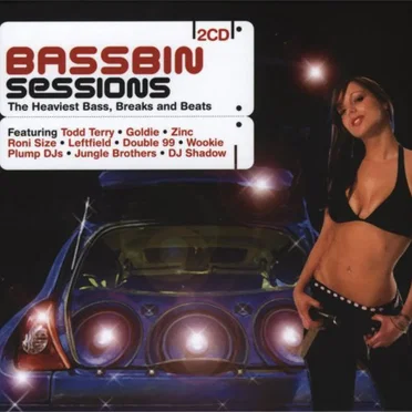Bassbin Sessions by Various Artists - album cover