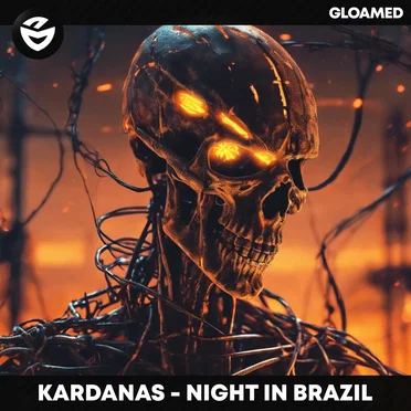 Night in Brazil
