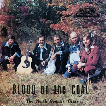 North Country Grass