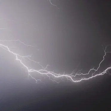 Electronic Harassment II/III