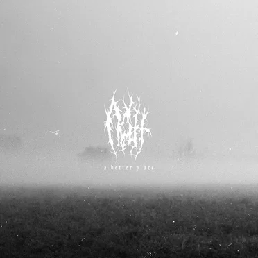 A Better Place by Natt - album cover