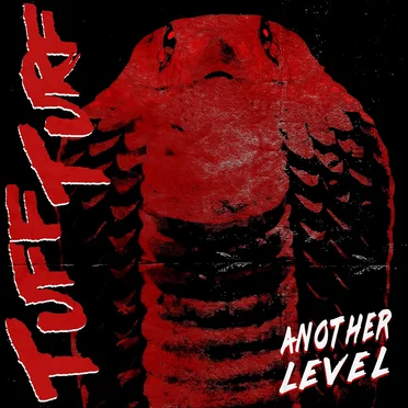 Another Level