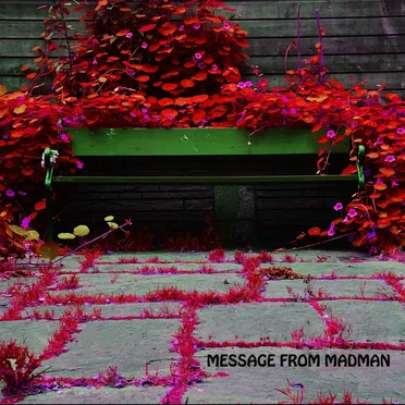 Message from Madman
