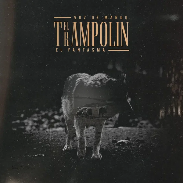 El trampolín