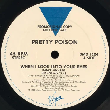 When I Look Into Your Eyes