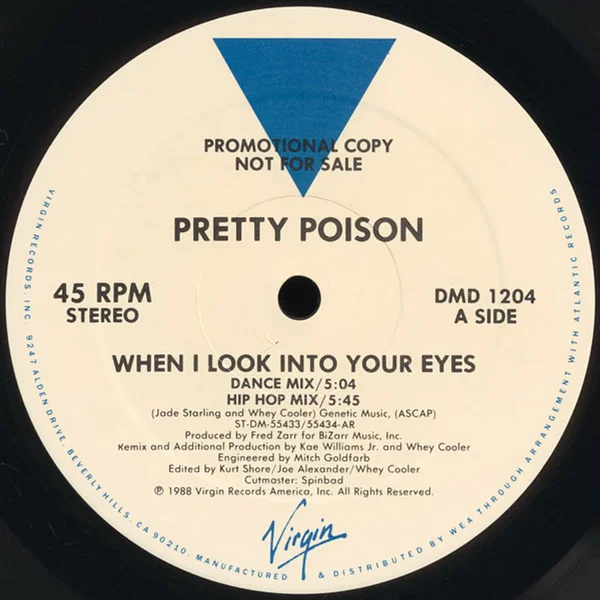 When I Look Into Your Eyes