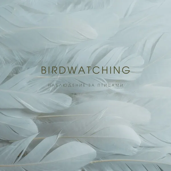 Birdwatching