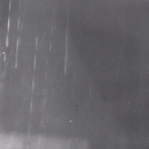 Where Is the Green Parrot?