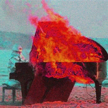 MUSICIAN