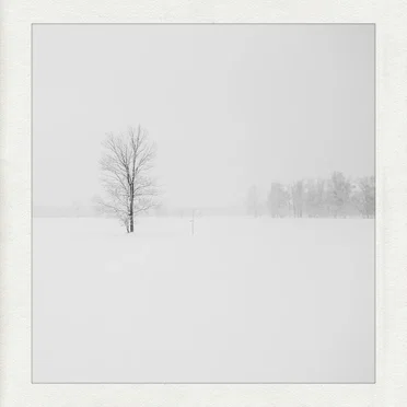 The Colour of Snow