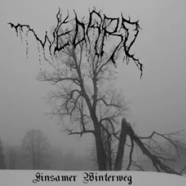 Einsamer Winterweg