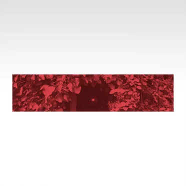 Dream in Red