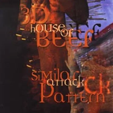 Similar Attack Pattern by 3D House of Beef - album cover