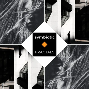 Fractals