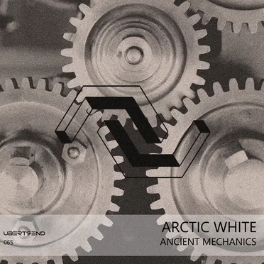 Ancient Mechanics by Arctic White - album cover