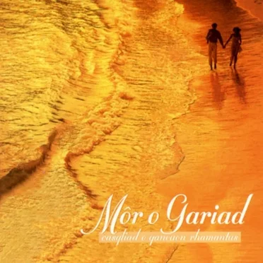 Môr o Gariad by Various Artists - album cover