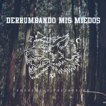 Derrumbando Mis Miedos