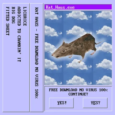 FREE DOWNLOAD NO VIRUS 100% by Kat Haus - album cover